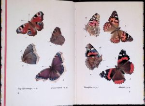 Das kleine Schmetterlingsbuch. Die Tagfalter, Insel-Bücherei. Bd. 213. Leipzig: Insel-Verlag, 1934