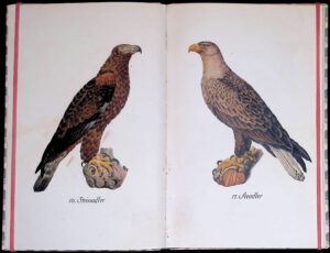 Das kleine Buch der Greife. Einheimische Raubvögel, Insel-Bücherei. Bd. 515. Leipzig: Insel-Verlag, 1937